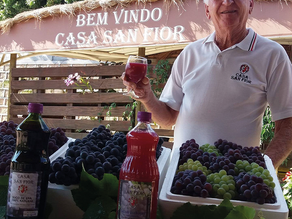 Entrevista com Nelson Pagotti