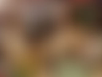 Corte da 60a. FUV visita Jornal Tribuna de Vinhedo