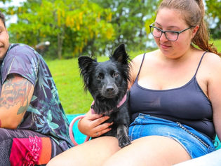 Vinhedo castra mais de 300 pets no 4º Mutirão de Castração Animal