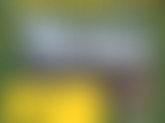 Revitalização Histórica: Portal de Vinhedo Passará por Transformações Significativas