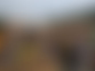 Telão da Copa da Prefeitura de Vinhedo na Capela vai para o Parque Ecológico