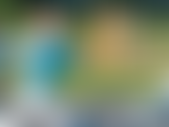 Secretaria de Esportes de Vinhedo abre inscrição para 1ª Corrida Kids