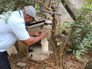Secretaria de Saúde de Louveira faz busca preventiva do mosquito transmissor da leishmaniose