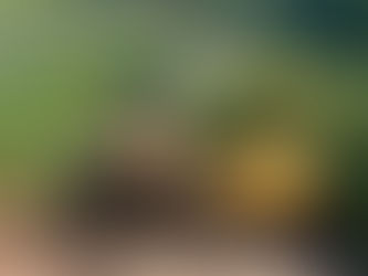 Vinhedo e Itupeva recuperam trecho de terra da estrada intermunicipal