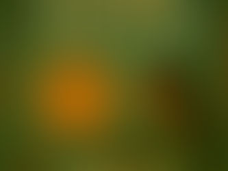 Summer Solstice: A Time to Ripen, Reflect, and Realign