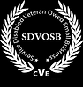 Service Disabled Veteran Owed Small Business SDVOSB cVE certification emblem.