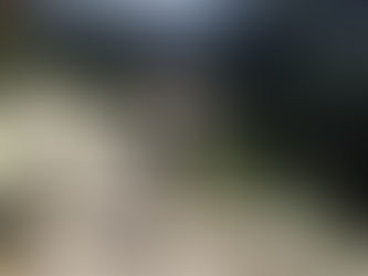 Failure to Thrive: Reflecting on all Aspects of Adult Independence