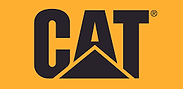 cat.png