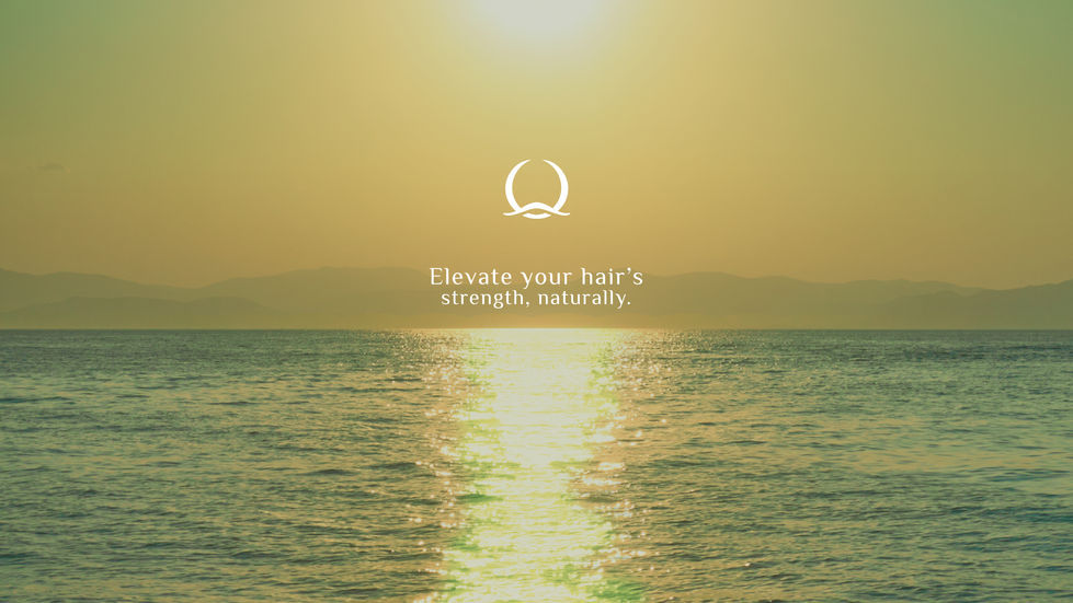 SUN ON_WE MEDIA_WABSITE-02