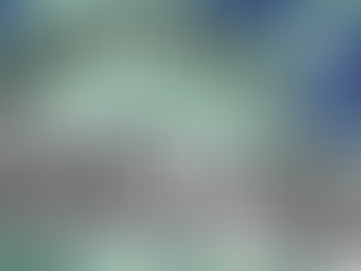 APA Leadership Foundation Partners with API Cities Caucus To Combat Hate Crimes