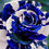 Thumbnail: 30 Blue Dragon Rose Bush Seeds USA SHIPPED, NON-GMO, HEIRLOOM, OPEN-POLLINATED,