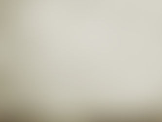 Tres minuts de vida al jardí de l'Escola Nàutica