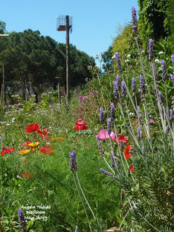 Al fons de l'escola Nàutica