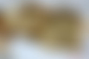 桂圓吐司、重黑糖桂圓吐司、重黑糖桂圓核桃吐司