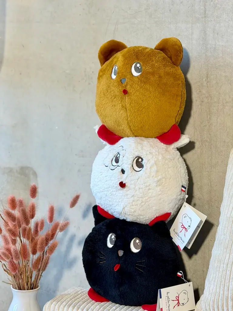 Miniature : Loulou Chat Noir