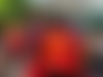 Bringing Vibrancy to Life: The Shaanxi Association of Canada  