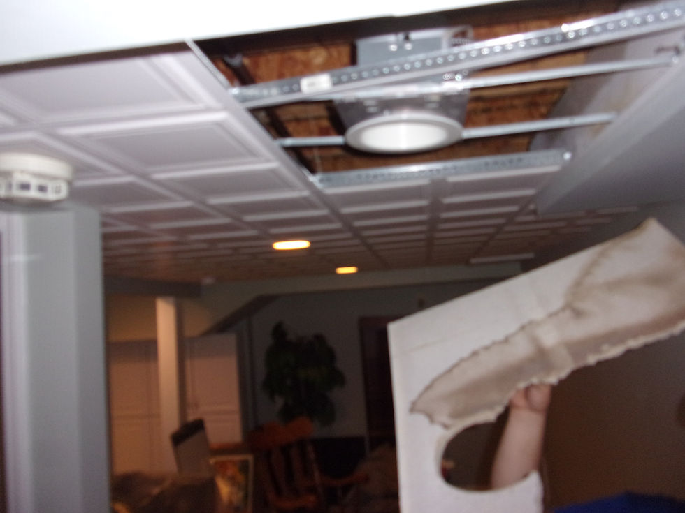 100_1511.JPG
