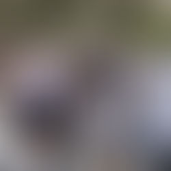 How ImAFUSA is Enabling a Better Understanding of Drone Noise