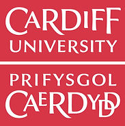 universitylogo.jpg