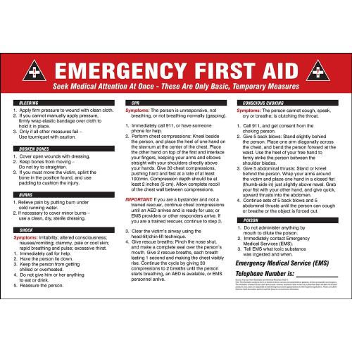 Accuform Signs MFSD604VP "Emergency First Aid" Sign 20" x 14" Plastic