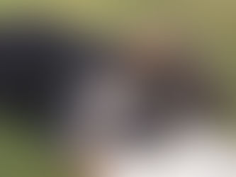 Unser M-Wurf erblickt das Licht der Welt