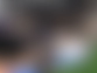 Unser N-Wurf erblickt das Licht der Welt