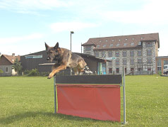 wolfsgruebler18