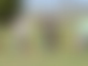 4 Wolfsgrüebler erfolgreich in der Lützelmurg