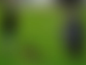 Prüfung der SC OG Kreuzlingen / Tägerwilen in Aadorf: Nyra's 41ste und letzte Prüfung