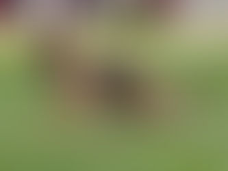 Int. Ausstellung Bern am 22.05.2021