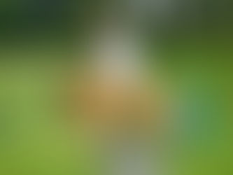 Andy und Qiuma bestehen die BH1