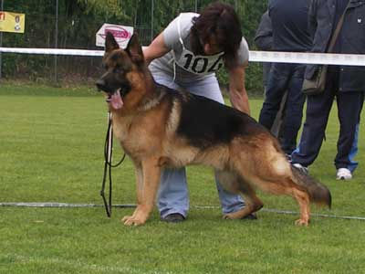 Rhino und Rasco strahlen in Gentilino