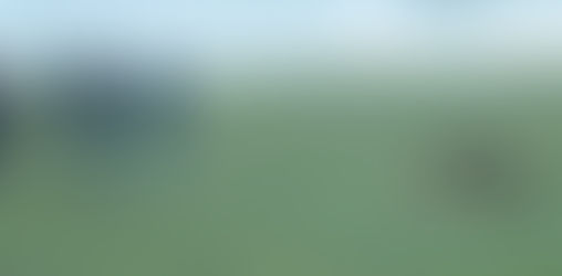 Tolle Leistung von Jean und Dagio in Koppigen