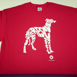 #screenprinting #screenprinted #everywear #tshirt 👌