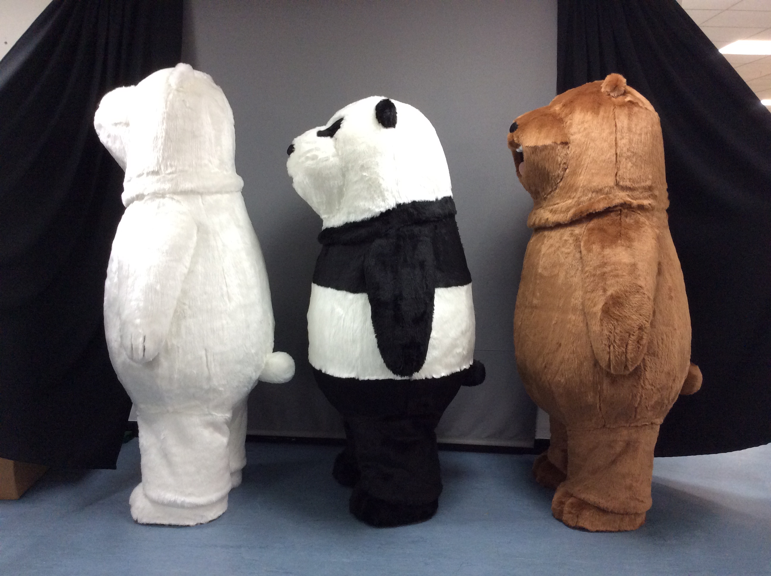 We Bare Bears