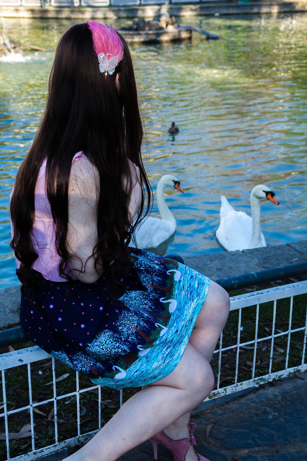 Mariposas en invierno