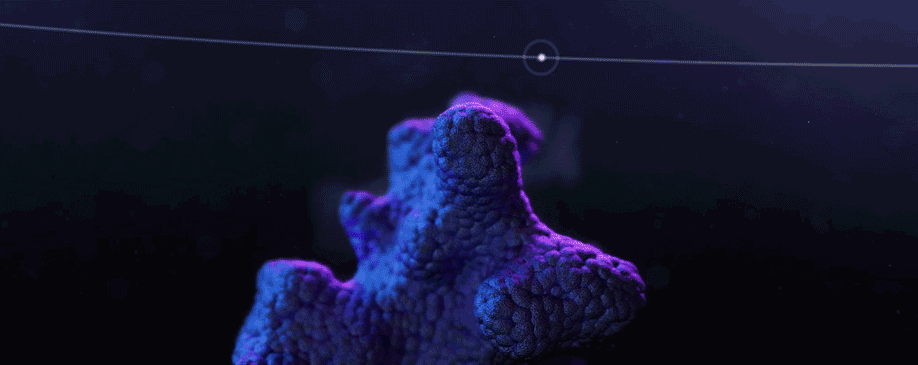 611da1100802963.5f16dbd053f50.gif