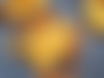 Onion Bhajji (not onion budgies)