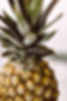 bruno-nascimento-179619-unsplash.jpg