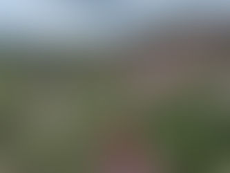 Do devaneio ao foco: o que a meditação ensina ao cérebro