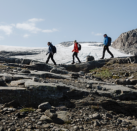 Guided Nature Hike to Glacier Toe