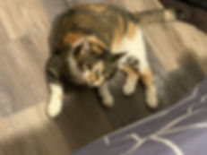 mia.jpeg