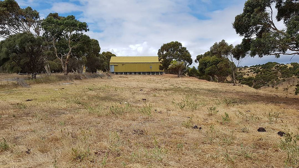 Our Story Forktree Brewing