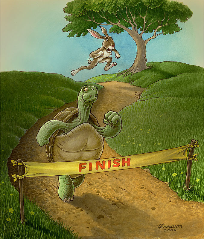 The Tortoise And The Hare, Who Wins The Race?