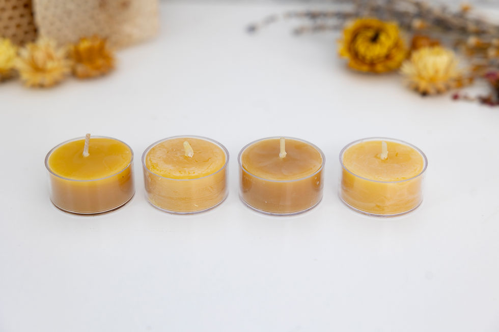 Thumbnail: Beeswax tea lights