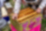 JHP25-3BH-BeeDay-33.jpg