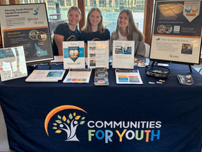 C4Y Boise Supporting Stay and Play Kickball Tournament