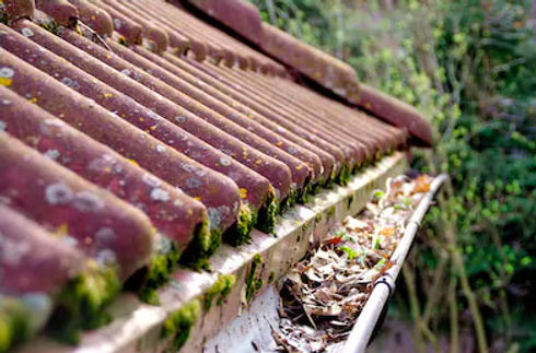 dirty gutter.jpg