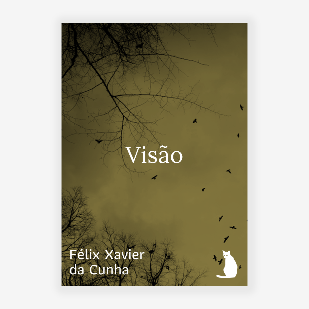 Visão (Félix Xavier da Cunha)