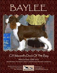 Baylee's Adv